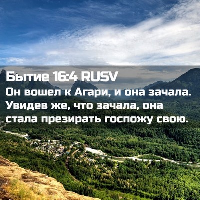 Picture 02 - Бытие 16:4 RUSV - Он вошел к Агари, и она - Bible Verse Picture