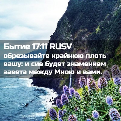 Picture 02 - Бытие 17:11 RUSV - обрезывайте крайнюю плоть - Bible Verse Picture