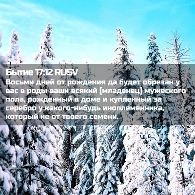 Picture 02 - Бытие 17:12 RUSV - Восьми дней от рождения да - Bible Verse Picture
