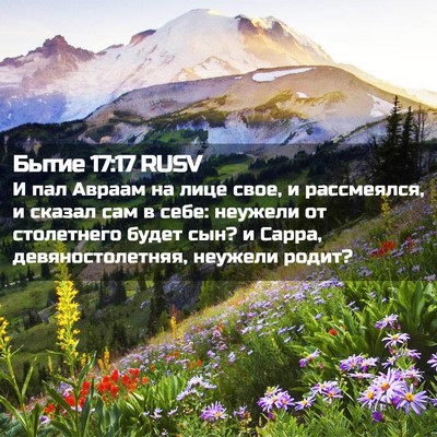 Picture 02 - Бытие 17:17 RUSV - И пал Авраам на лице свое, и - Bible Verse Picture