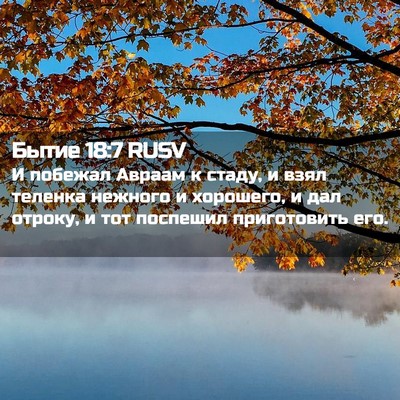Picture 02 - Бытие 18:7 RUSV - И побежал Авраам к стаду, и - Bible Verse Picture
