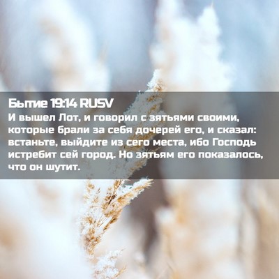 Picture 02 - Бытие 19:14 RUSV - И вышел Лот, и говорил с - Bible Verse Picture