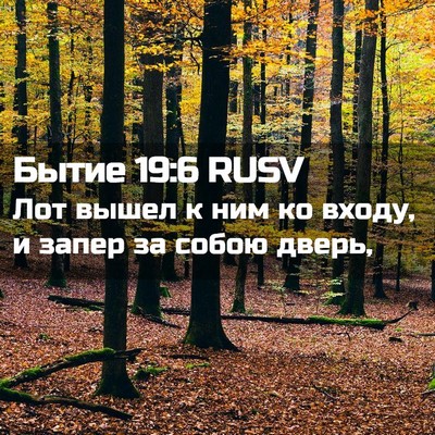 Picture 02 - Бытие 19:6 RUSV - Лот вышел к ним ко входу, и - Bible Verse Picture