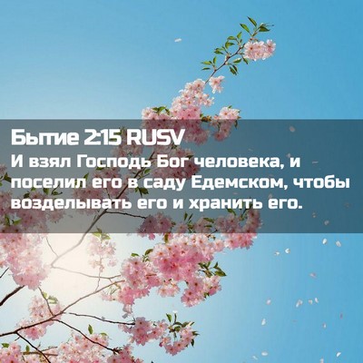 Picture 02 - Бытие 2:15 RUSV - И взял Господь Бог - Bible Verse Picture