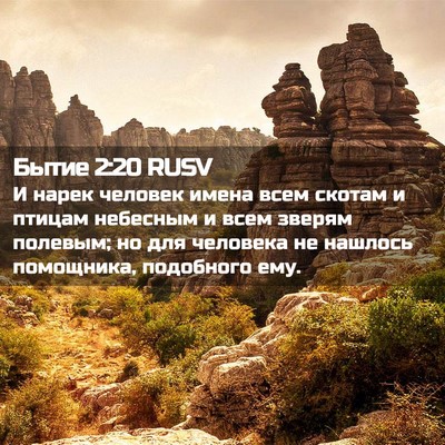 Picture 02 - Бытие 2:20 RUSV - И нарек человек имена всем - Bible Verse Picture