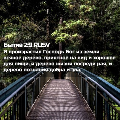 Picture 02 - Бытие 2:9 RUSV - И произрастил Господь Бог - Bible Verse Picture