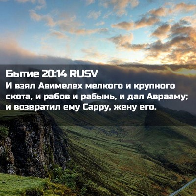 Picture 02 - Бытие 20:14 RUSV - И взял Авимелех мелкого и - Bible Verse Picture