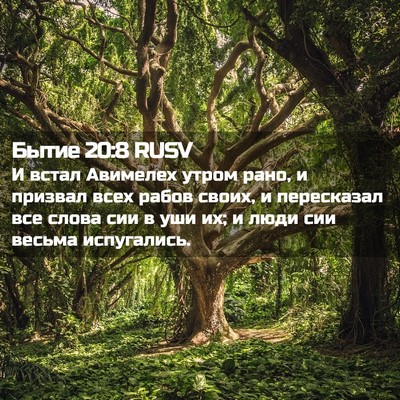 Picture 02 - Бытие 20:8 RUSV - И встал Авимелех утром - Bible Verse Picture
