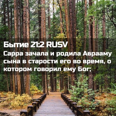 Picture 02 - Бытие 21:2 RUSV - Сарра зачала и родила - Bible Verse Picture