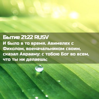 Picture 02 - Бытие 21:22 RUSV - И было в то время, Авимелех - Bible Verse Picture