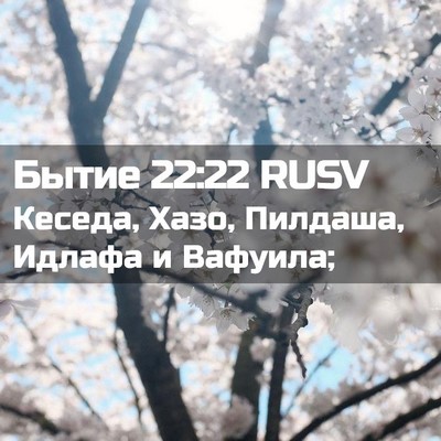 Picture 02 - Бытие 22:22 RUSV - Кеседа, Хазо, Пилдаша, - Bible Verse Picture