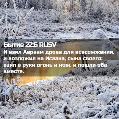 Picture 02 - Бытие 22:6 RUSV - И взял Авраам дрова для - Bible Verse Picture