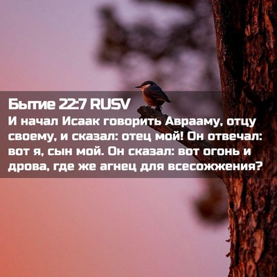 Picture 02 - Бытие 22:7 RUSV - И начал Исаак говорить - Bible Verse Picture