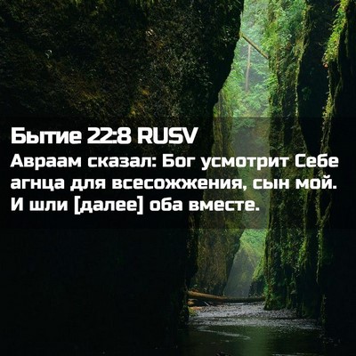 Picture 02 - Бытие 22:8 RUSV - Авраам сказал: Бог - Bible Verse Picture