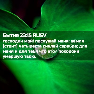 Picture 02 - Бытие 23:15 RUSV - господин мой! послушай - Bible Verse Picture