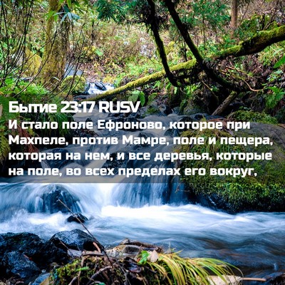 Picture 02 - Бытие 23:17 RUSV - И стало поле Ефроново, - Bible Verse Picture