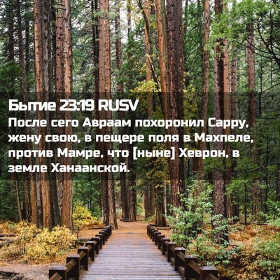 Picture 02 - Бытие 23:19 RUSV - После сего Авраам - Bible Verse Picture