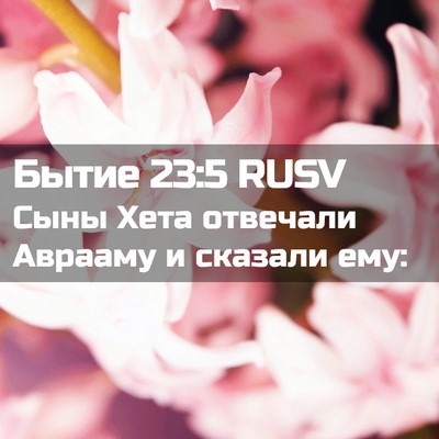 Picture 02 - Бытие 23:5 RUSV - Сыны Хета отвечали Аврааму - Bible Verse Picture