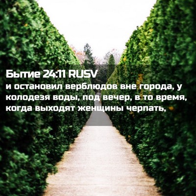 Picture 02 - Бытие 24:11 RUSV - и остановил верблюдов вне - Bible Verse Picture