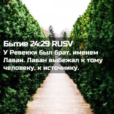 Picture 02 - Бытие 24:29 RUSV - У Ревекки был брат, именем - Bible Verse Picture