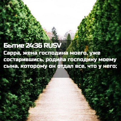 Picture 02 - Бытие 24:36 RUSV - Сарра, жена господина - Bible Verse Picture