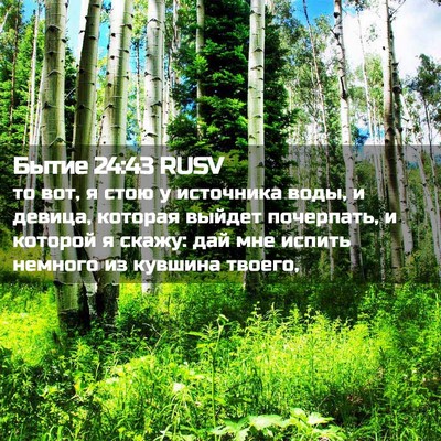 Picture 02 - Бытие 24:43 RUSV - то вот, я стою у источника - Bible Verse Picture