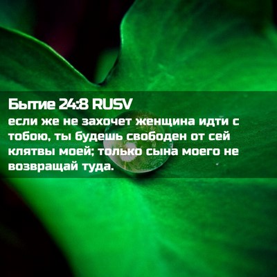 Picture 02 - Бытие 24:8 RUSV - если же не захочет женщина - Bible Verse Picture