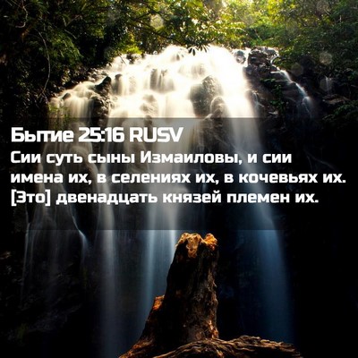 Picture 02 - Бытие 25:16 RUSV - Сии суть сыны Измаиловы, и - Bible Verse Picture