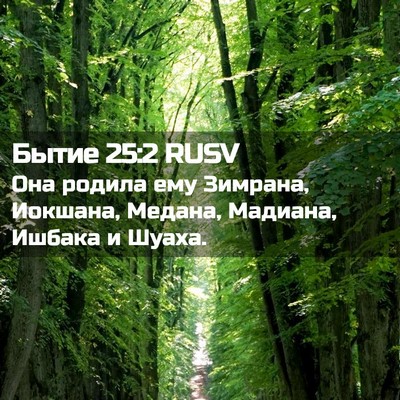 Picture 02 - Бытие 25:2 RUSV - Она родила ему Зимрана, - Bible Verse Picture
