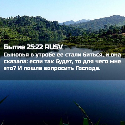 Picture 02 - Бытие 25:22 RUSV - Сыновья в утробе ее стали - Bible Verse Picture