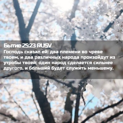 Picture 02 - Бытие 25:23 RUSV - Господь сказал ей: два - Bible Verse Picture