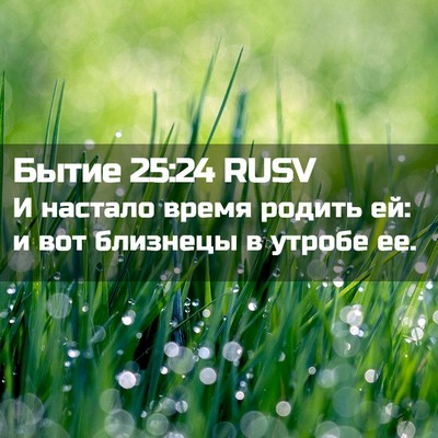 Picture 02 - Бытие 25:24 RUSV - И настало время родить ей: - Bible Verse Picture
