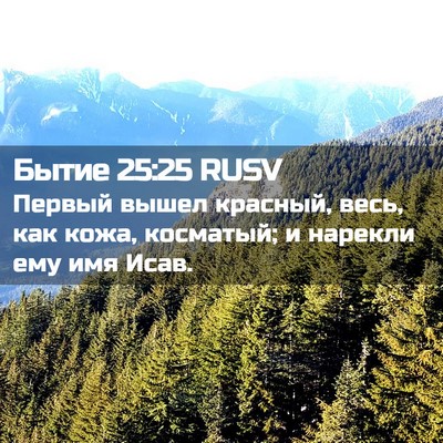 Picture 02 - Бытие 25:25 RUSV - Первый вышел красный, весь, - Bible Verse Picture