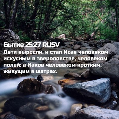 Picture 02 - Бытие 25:27 RUSV - Дети выросли, и стал Исав - Bible Verse Picture