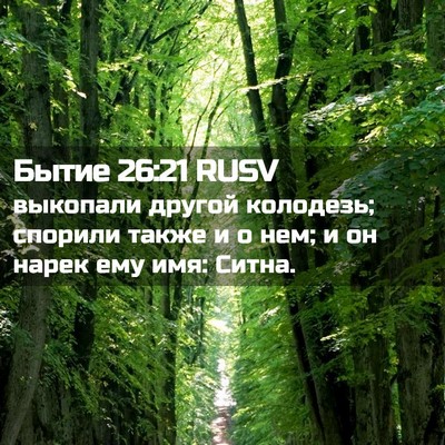 Picture 02 - Бытие 26:21 RUSV - выкопали другой колодезь; - Bible Verse Picture