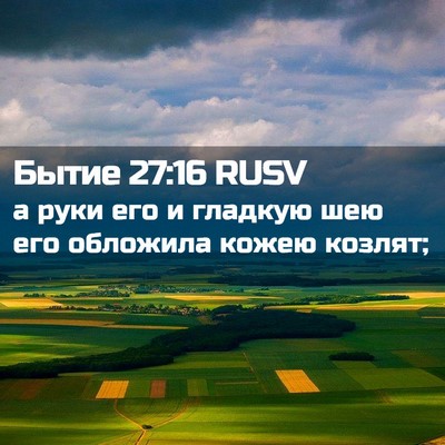 Picture 02 - Бытие 27:16 RUSV - а руки его и гладкую шею - Bible Verse Picture