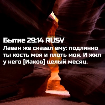 Picture 02 - Бытие 29:14 RUSV - Лаван же сказал ему: - Bible Verse Picture