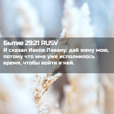 Picture 02 - Бытие 29:21 RUSV - И сказал Иаков Лавану: дай - Bible Verse Picture