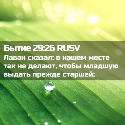 Picture 02 - Бытие 29:26 RUSV - Лаван сказал: в нашем месте - Bible Verse Picture
