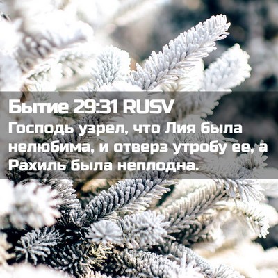 Picture 02 - Бытие 29:31 RUSV - Господь узрел, что Лия была - Bible Verse Picture