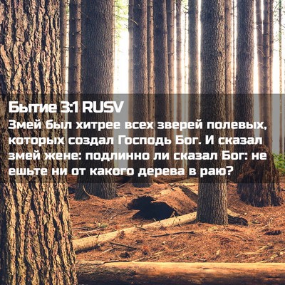 Picture 02 - Бытие 3:1 RUSV - Змей был хитрее всех - Bible Verse Picture
