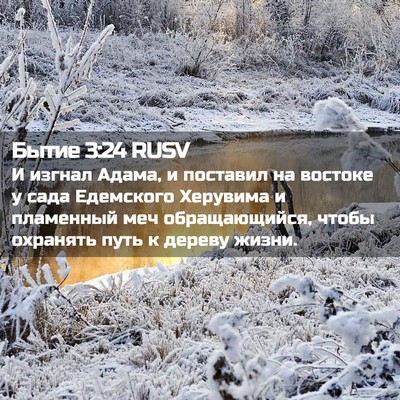 Picture 02 - Бытие 3:24 RUSV - И изгнал Адама, и поставил - Bible Verse Picture
