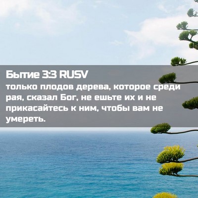 Picture 02 - Бытие 3:3 RUSV - только плодов дерева, - Bible Verse Picture