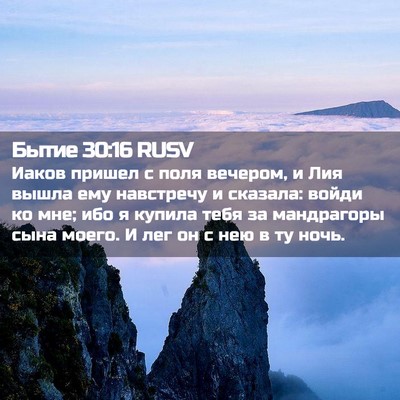 Picture 02 - Бытие 30:16 RUSV - Иаков пришел с поля - Bible Verse Picture
