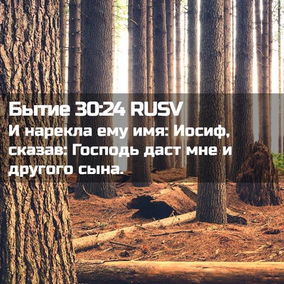 Picture 02 - Бытие 30:24 RUSV - И нарекла ему имя: Иосиф, - Bible Verse Picture