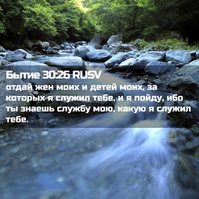 Picture 02 - Бытие 30:26 RUSV - отдай жен моих и детей - Bible Verse Picture
