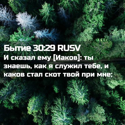 Picture 02 - Бытие 30:29 RUSV - И сказал ему [Иаков]: ты - Bible Verse Picture