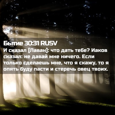 Picture 02 - Бытие 30:31 RUSV - И сказал [Лаван]: что дать - Bible Verse Picture