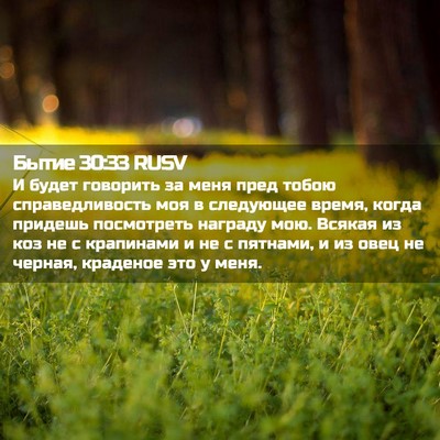 Picture 02 - Бытие 30:33 RUSV - И будет говорить за меня - Bible Verse Picture