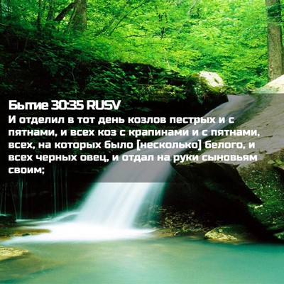Picture 02 - Бытие 30:35 RUSV - И отделил в тот день козлов - Bible Verse Picture